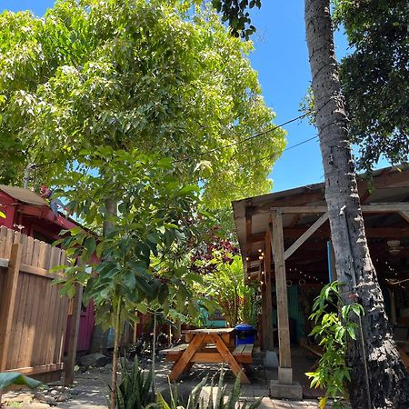 Banana Bungalow Maui Hostel Wailuku Eksteriør bilde