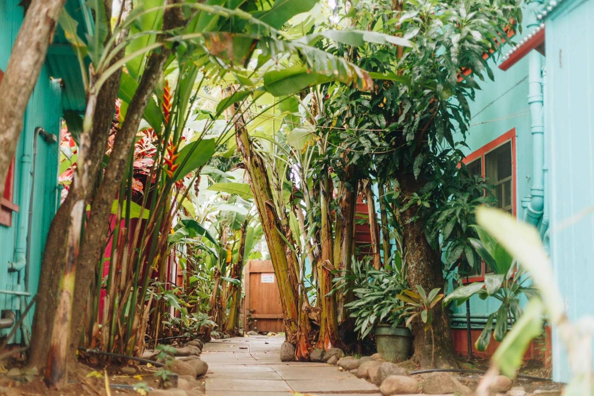 Banana Bungalow Maui Hostel Wailuku Eksteriør bilde