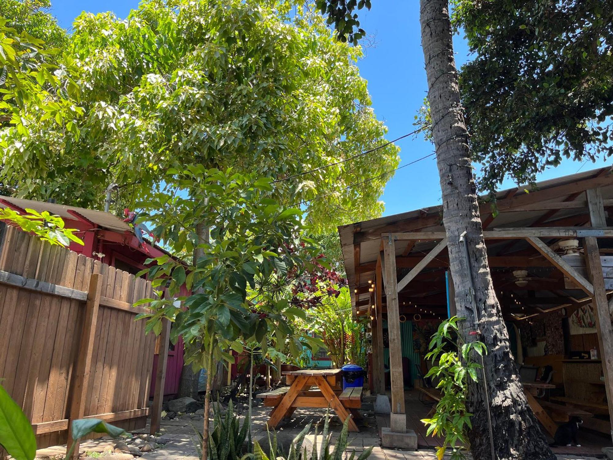 Banana Bungalow Maui Hostel Wailuku Eksteriør bilde